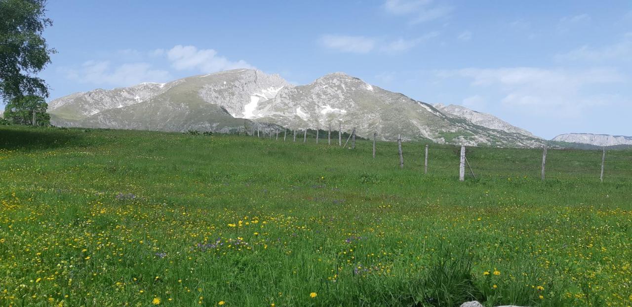 Durmitorski Konak Žabljak 外观 照片